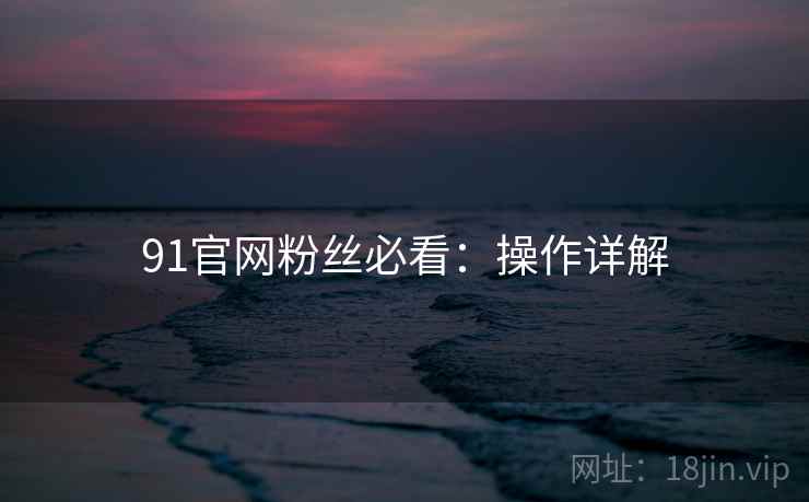 91官网粉丝必看：操作详解